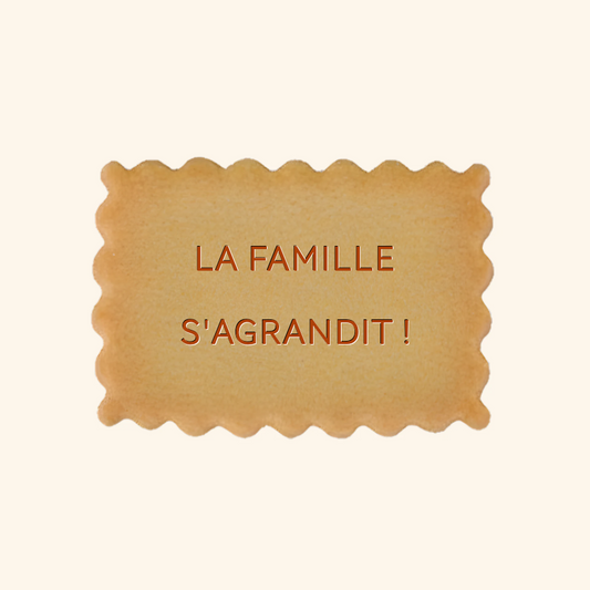 Coffret de 8 biscuits annonce grossesse – La famille s'agrandit !