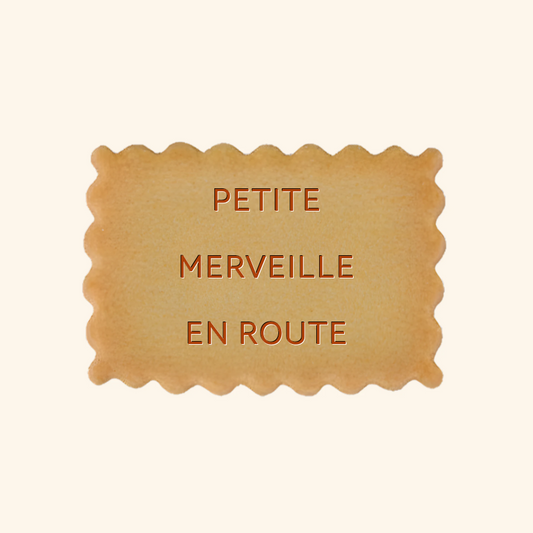 Coffret de 8 biscuits annonce grossesse – Petite merveille en route